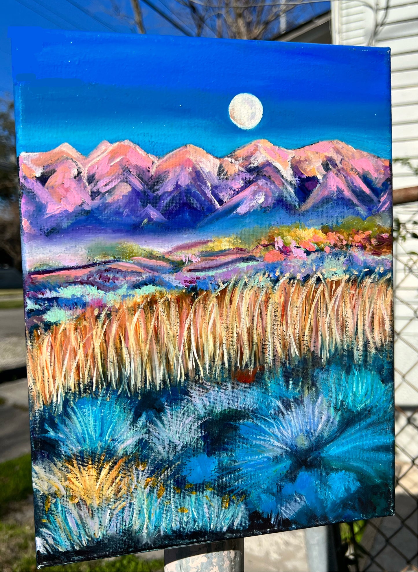 Candy Mountains