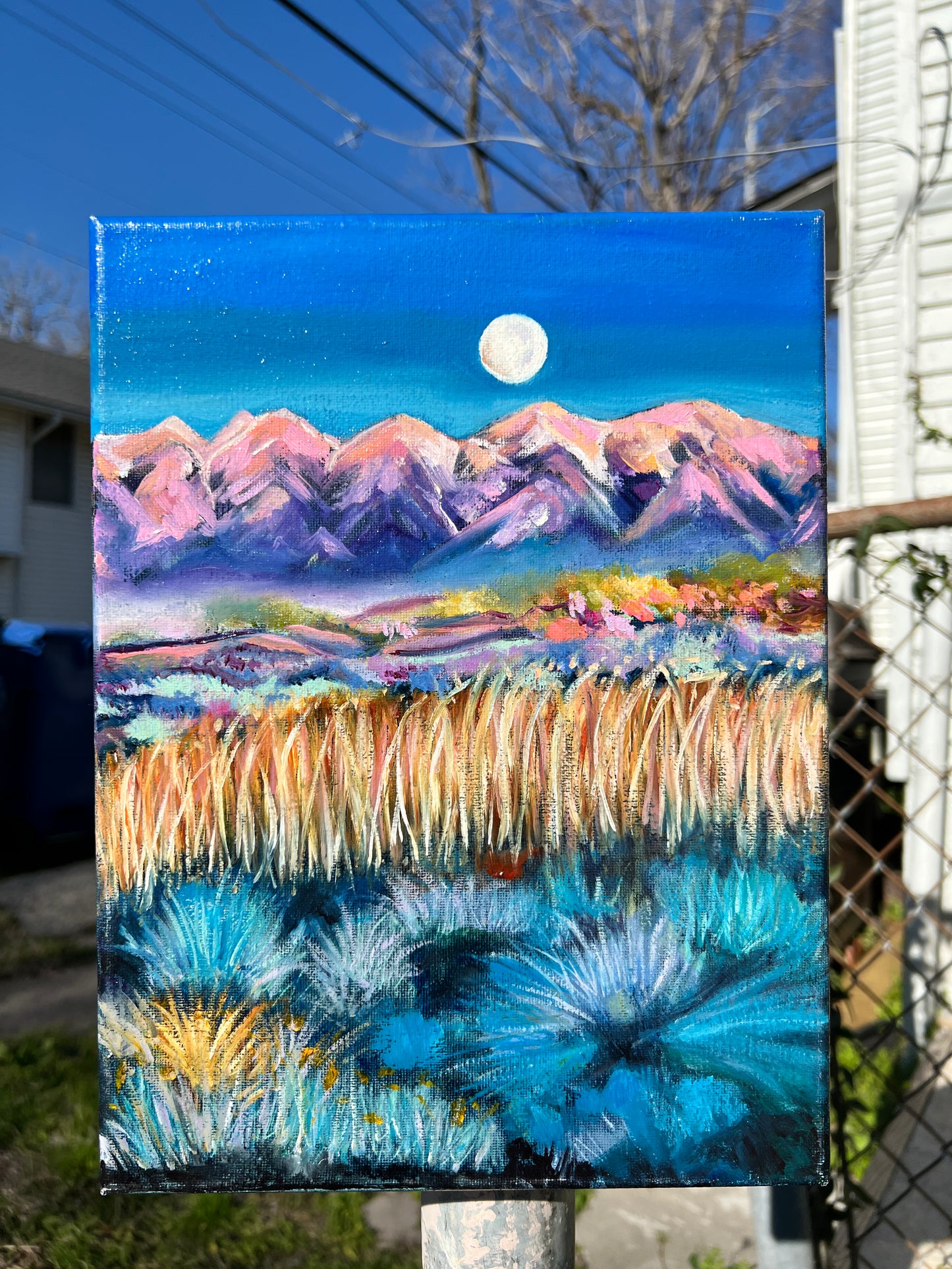 Candy Mountains